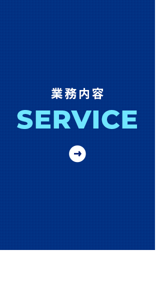 sp_bnrhalf01_service